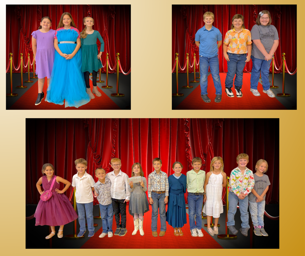 HOCO dress- up day Red Carpet Fancy collage