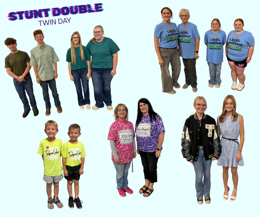 HOCO Dress-up Day: Stunt double collage