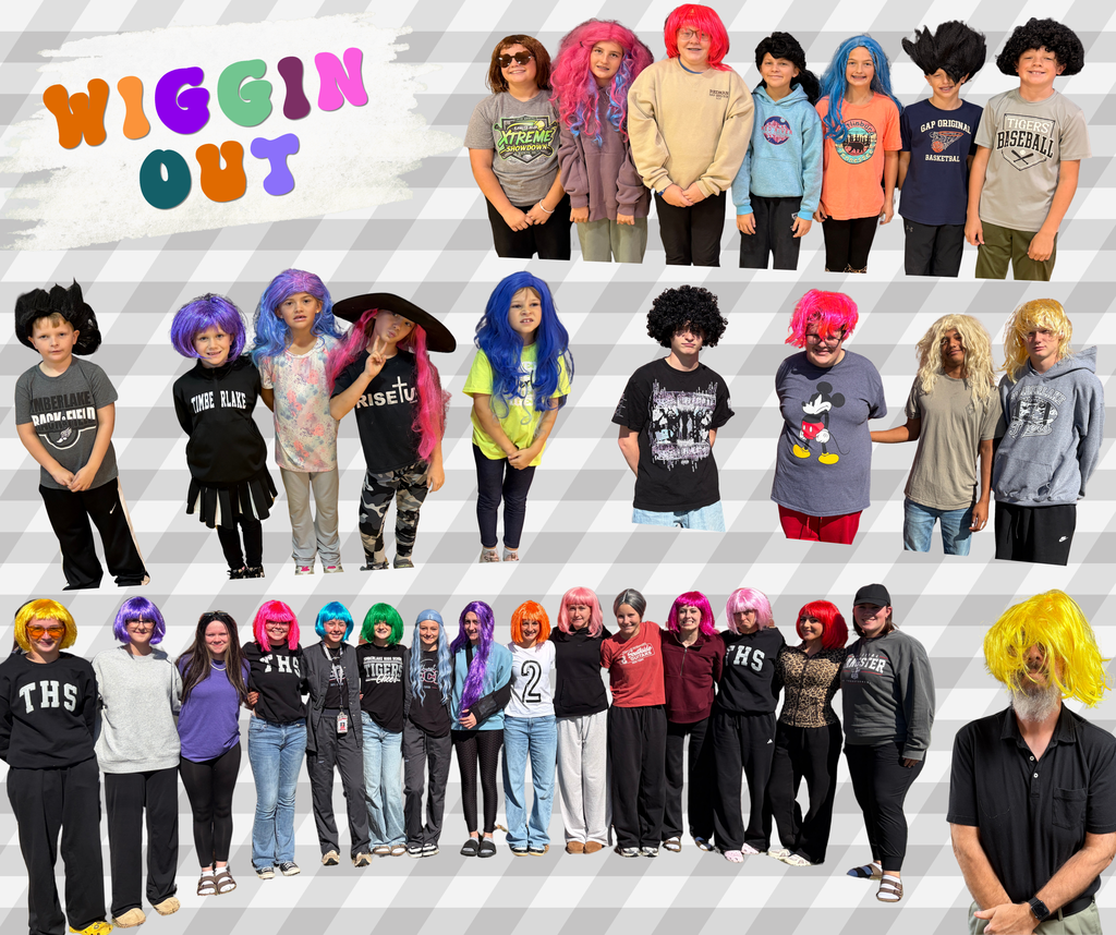Wiggin out spirit day collage 