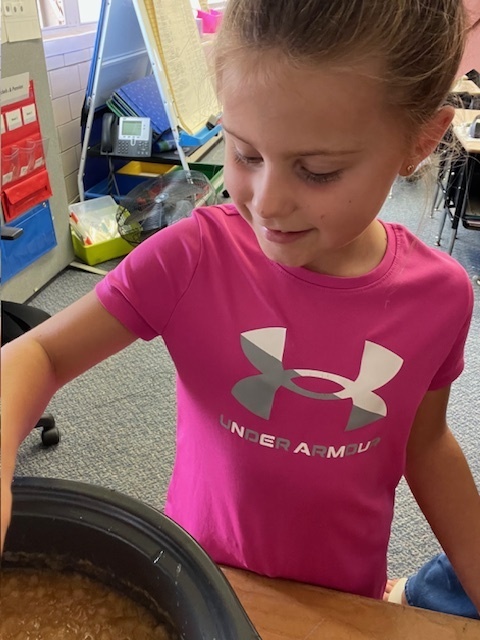 First graders made applesauce to celebrate Johnny Appleseed's birthday.