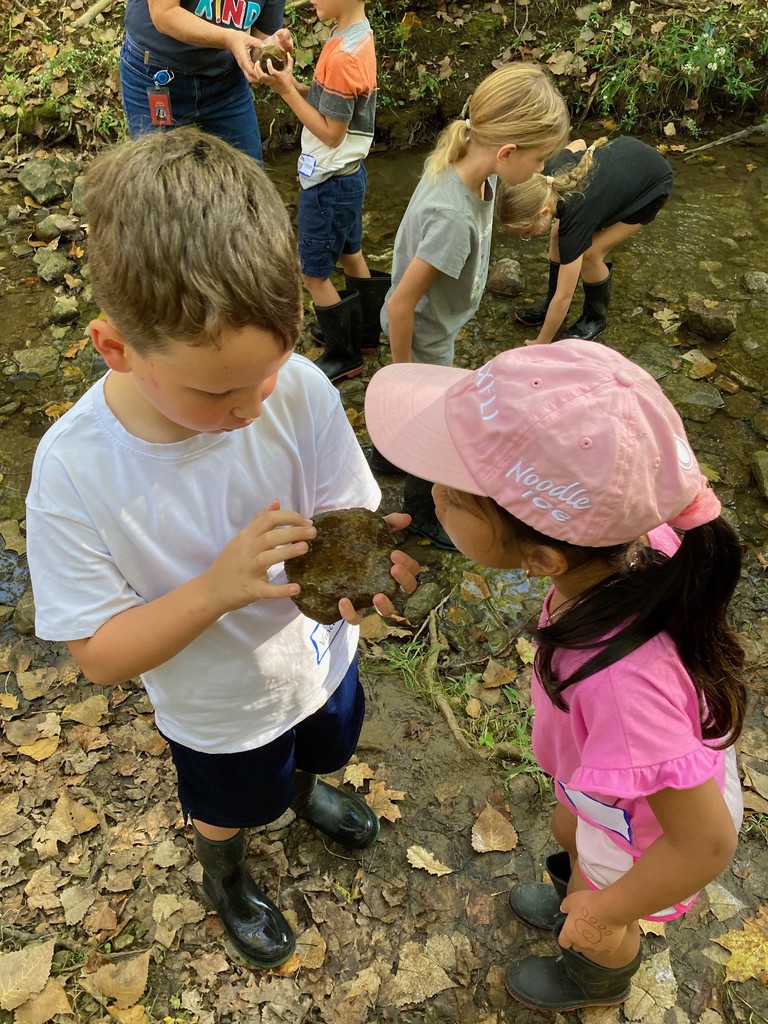 Discovery at Charleston Falls.  
