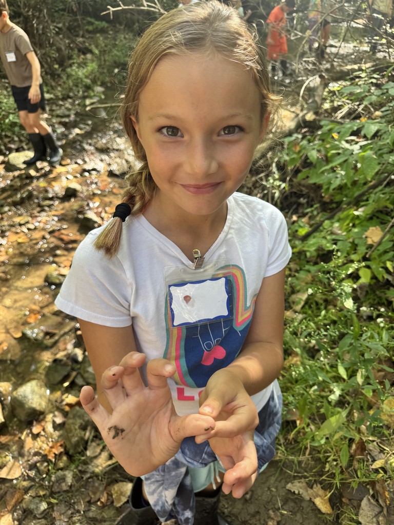 Discovery at Charleston Falls.  