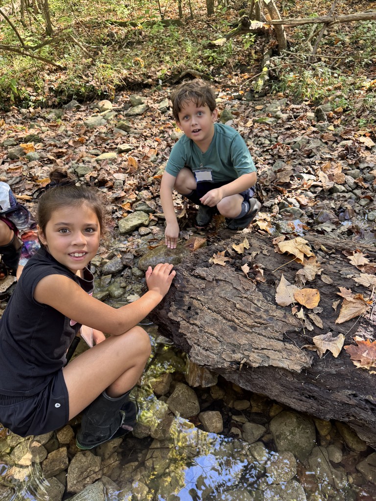 Discovery at Charleston Falls.  