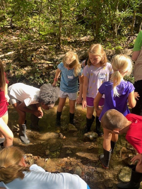 Exploring nature at Charleston Falls. 