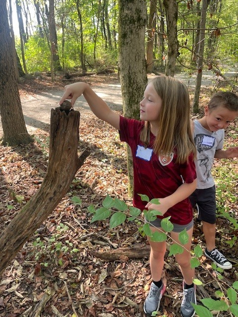 Exploring nature at Charleston Falls. 