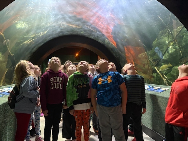 L.T. Ball third graders at the Newport Aquarium. 