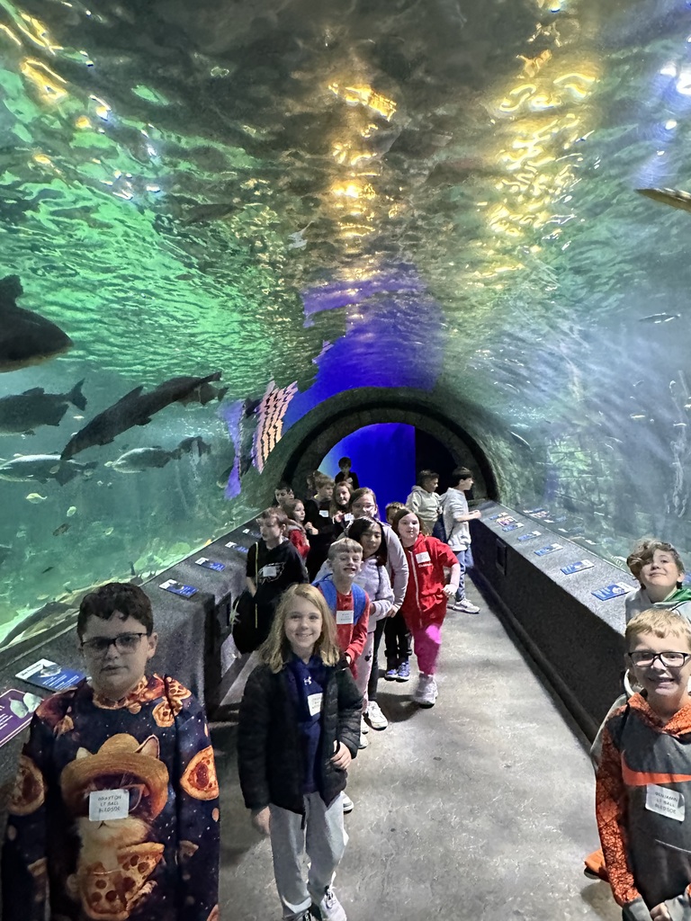 L.T. Ball third graders at the Newport Aquarium. 