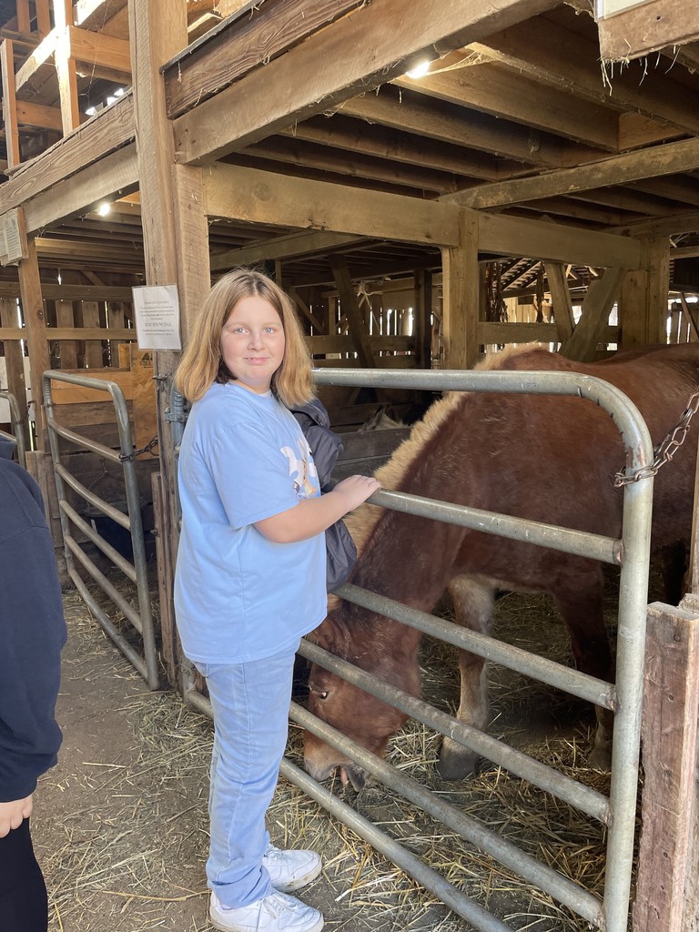 TMS students at Learning Tree Farm.