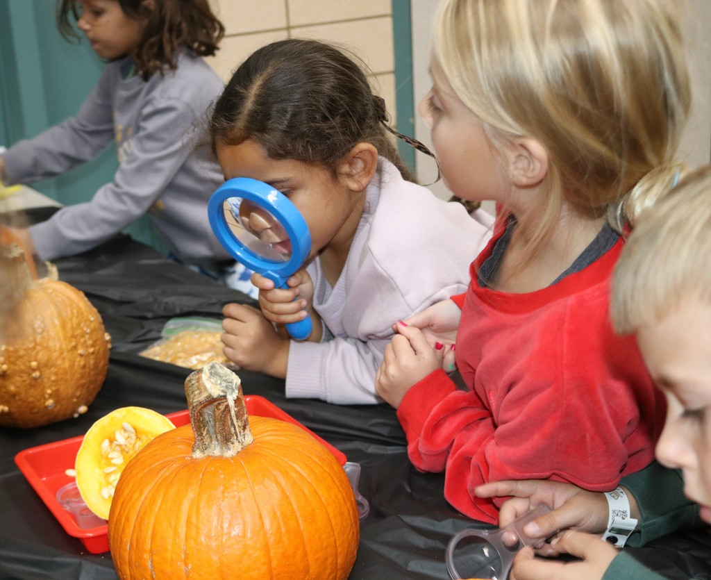 Fall learning fun at Broadway.