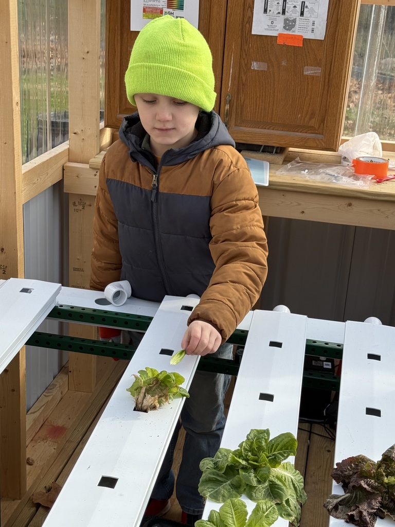 Broadway students at the Learning Tree.