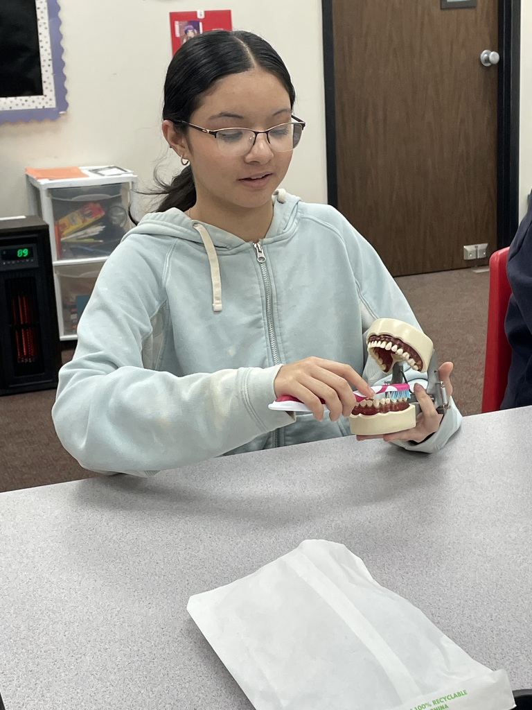 Lunch and Learn at Tippecanoe Middle School. Student practicing how to clean a patient's teeth.