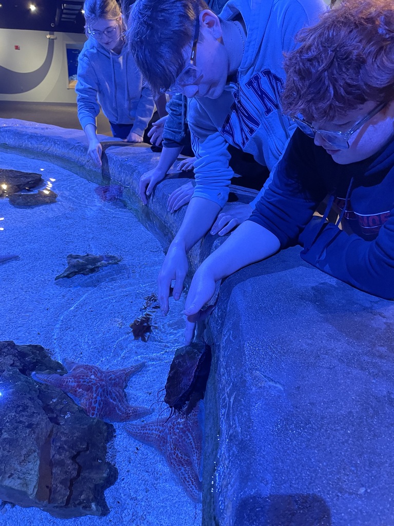 TMS students at Newport Aquarium to learn about potential career paths and get a chance to see the exhibits.