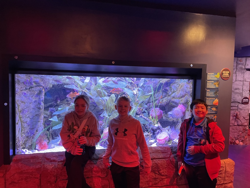 TMS students at Newport Aquarium to learn about potential career paths.