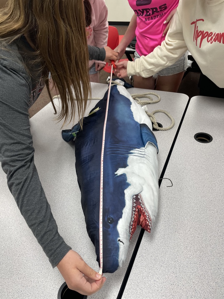 TMS students learn about  sharks and marine animals during a Lunch and Learn.