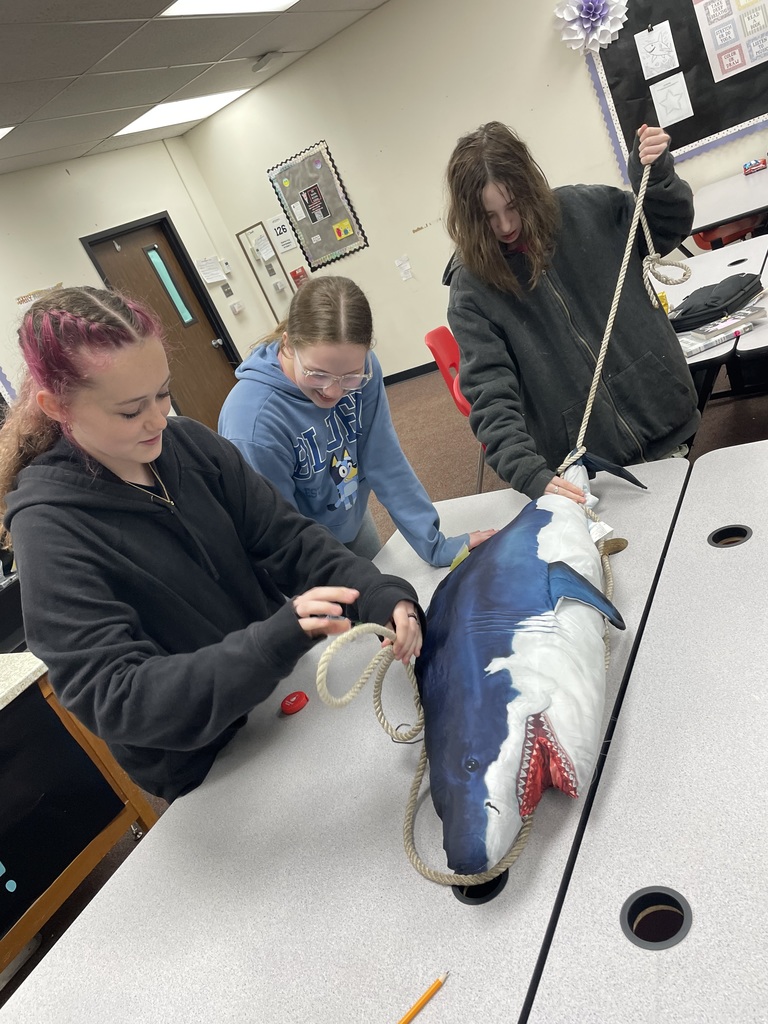 TMS students learn about  sharks and marine animals during a Lunch and Learn.