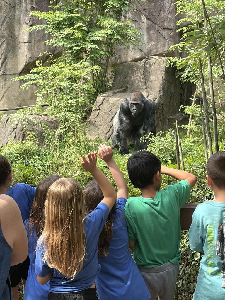 Broadway Elementary students at the Cincinnati Zoo gaze at an animal.