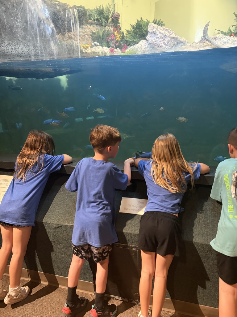 Broadway Elementary students at the Cincinnati Zoo gaze at the fish.