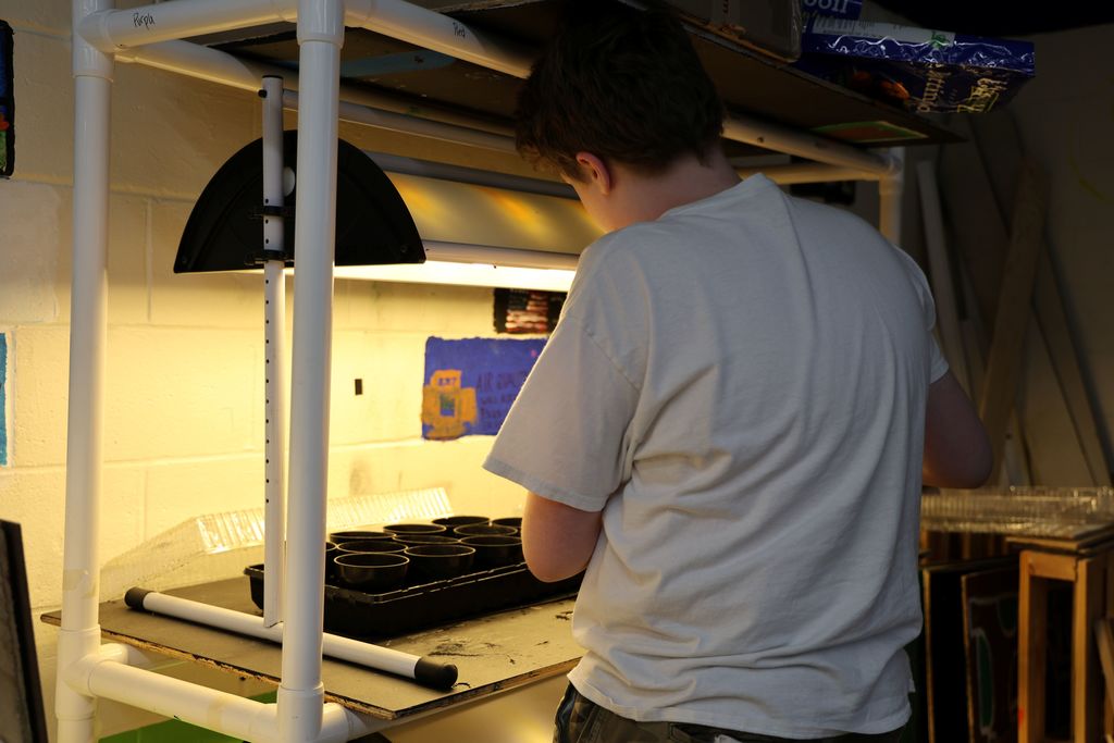 A student looks at the seeds the garden club planted.