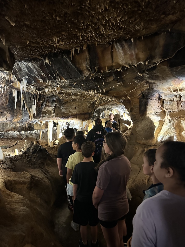 L.T. Ball students explore Ohio Caverns and are in awe of the formations.  