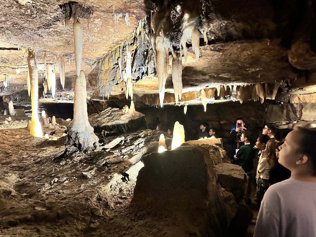 L.T. Ball students explore Ohio Caverns and are in awe of the formations.  