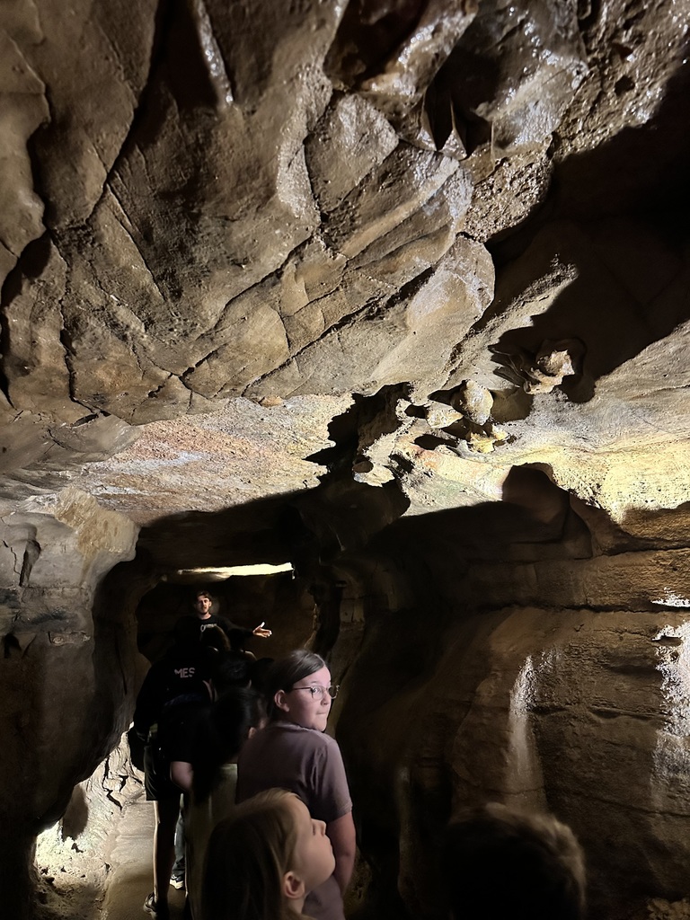 L.T. Ball students explore Ohio Caverns and are in awe of the formations.  