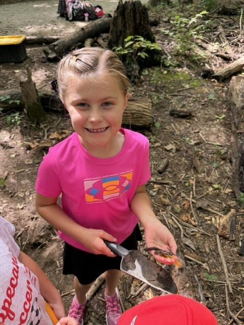 Second graders at Charleston Falls.  A student with a spade shows off a worm.