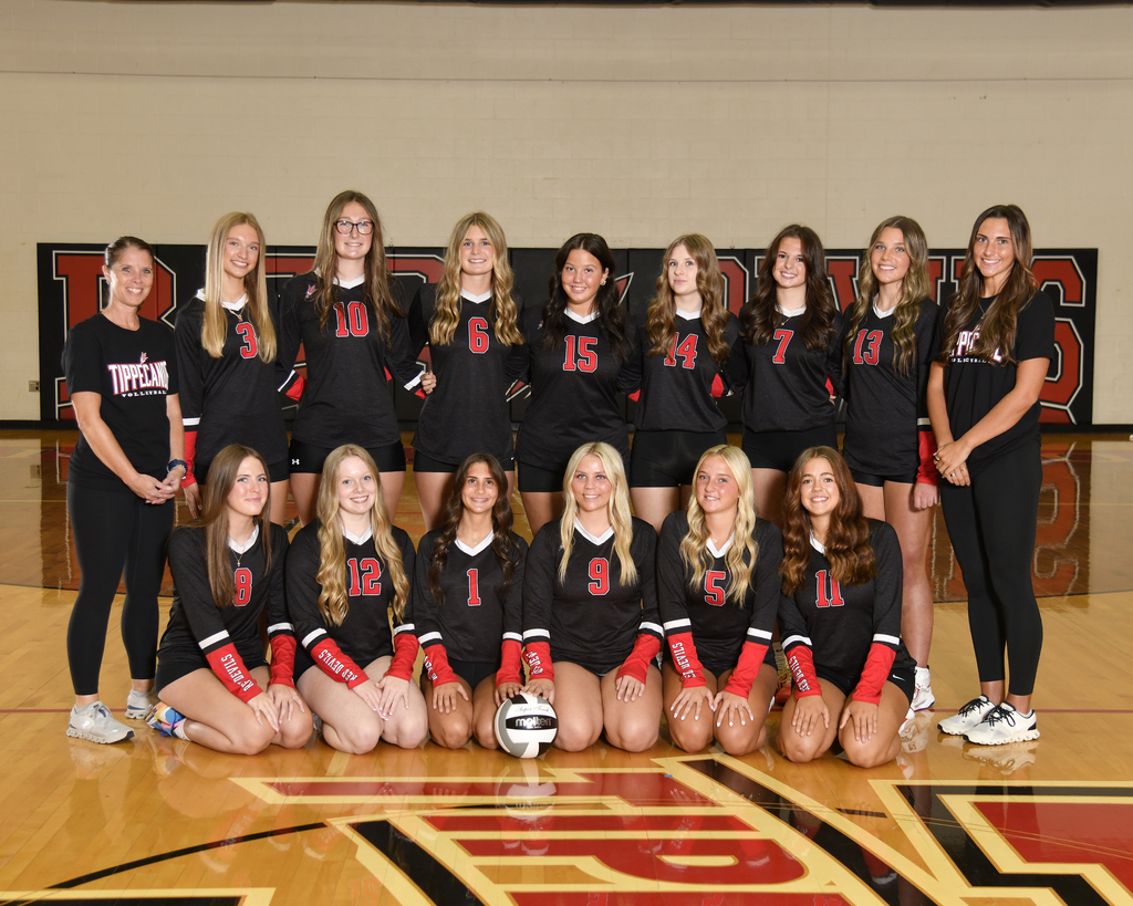 THS volleyball team picture.