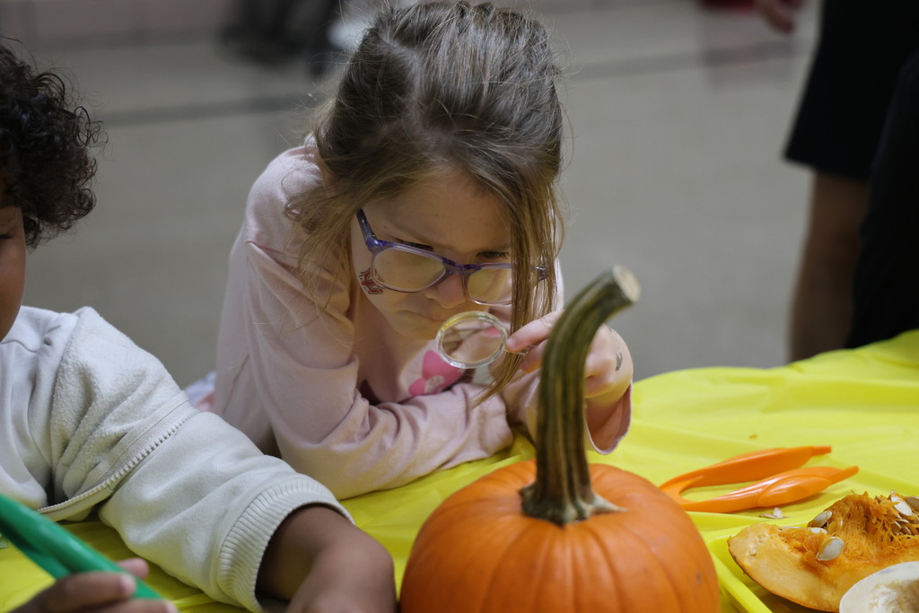 A student uses a small magnifying glass to look at the pumpkin.
