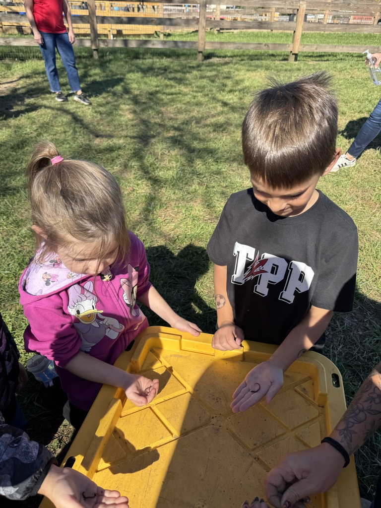 Students at Hidden Valley Orchard.