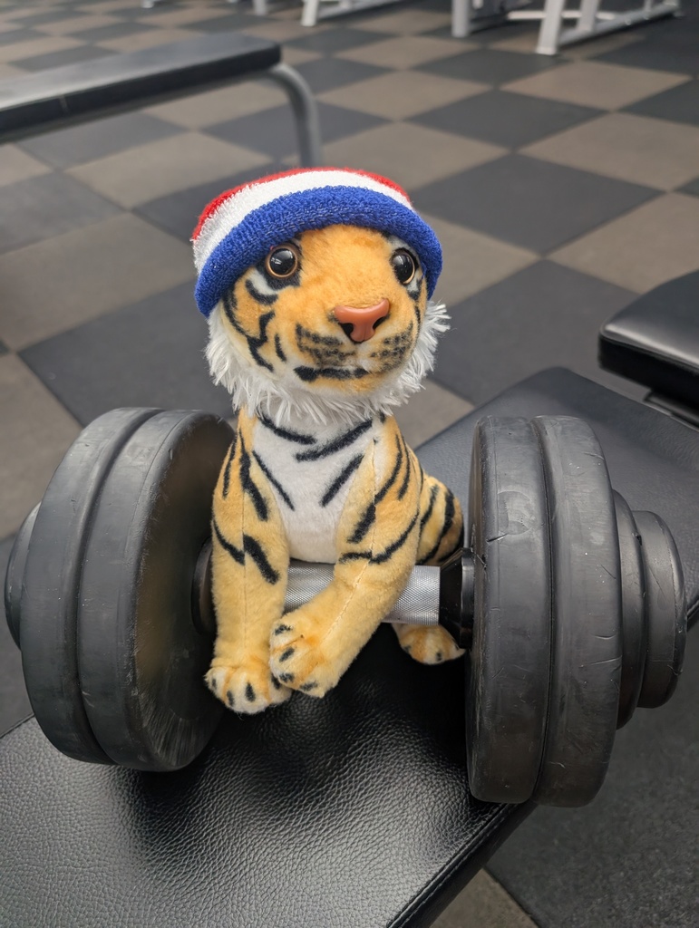 Workout