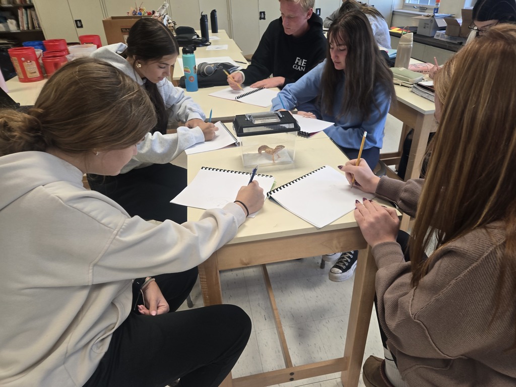 Art Class