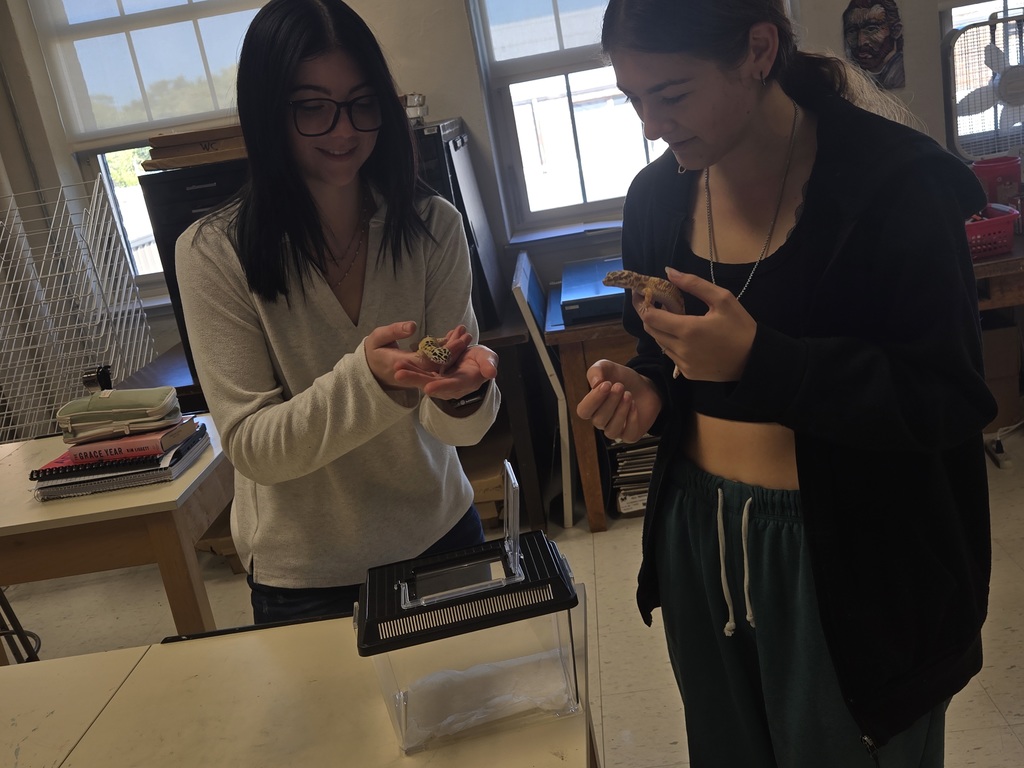 Art Class