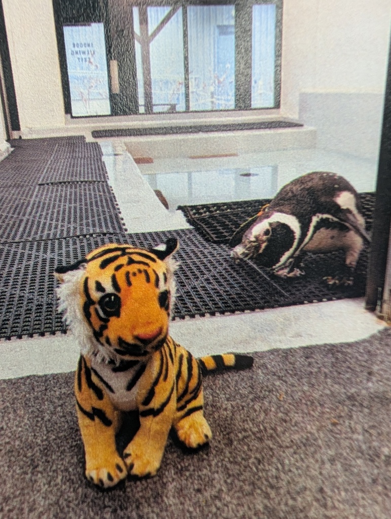 Playing hide and seek with the penguins