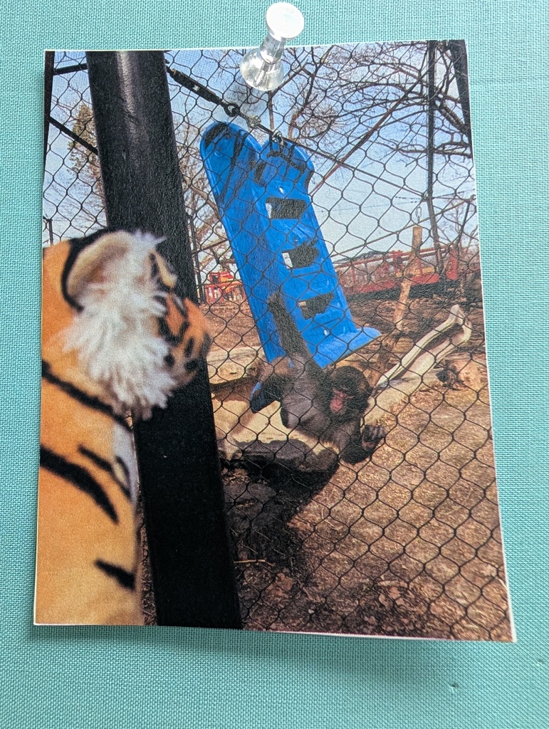 Tank with the monkeys