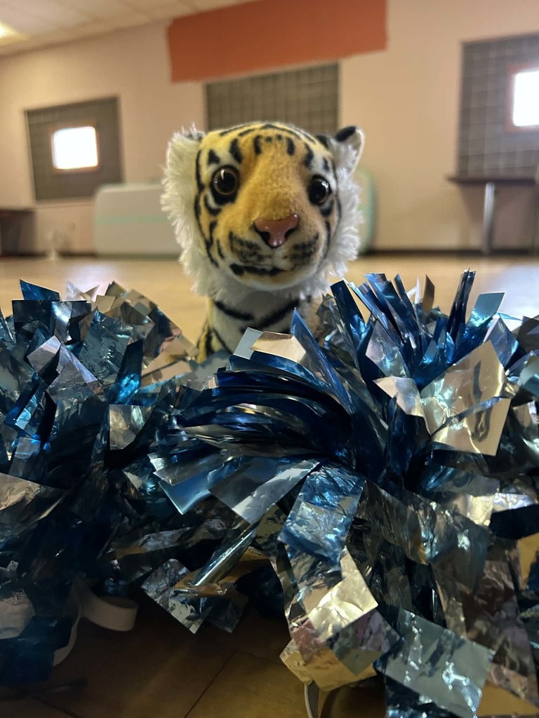 Tank learning about Pom