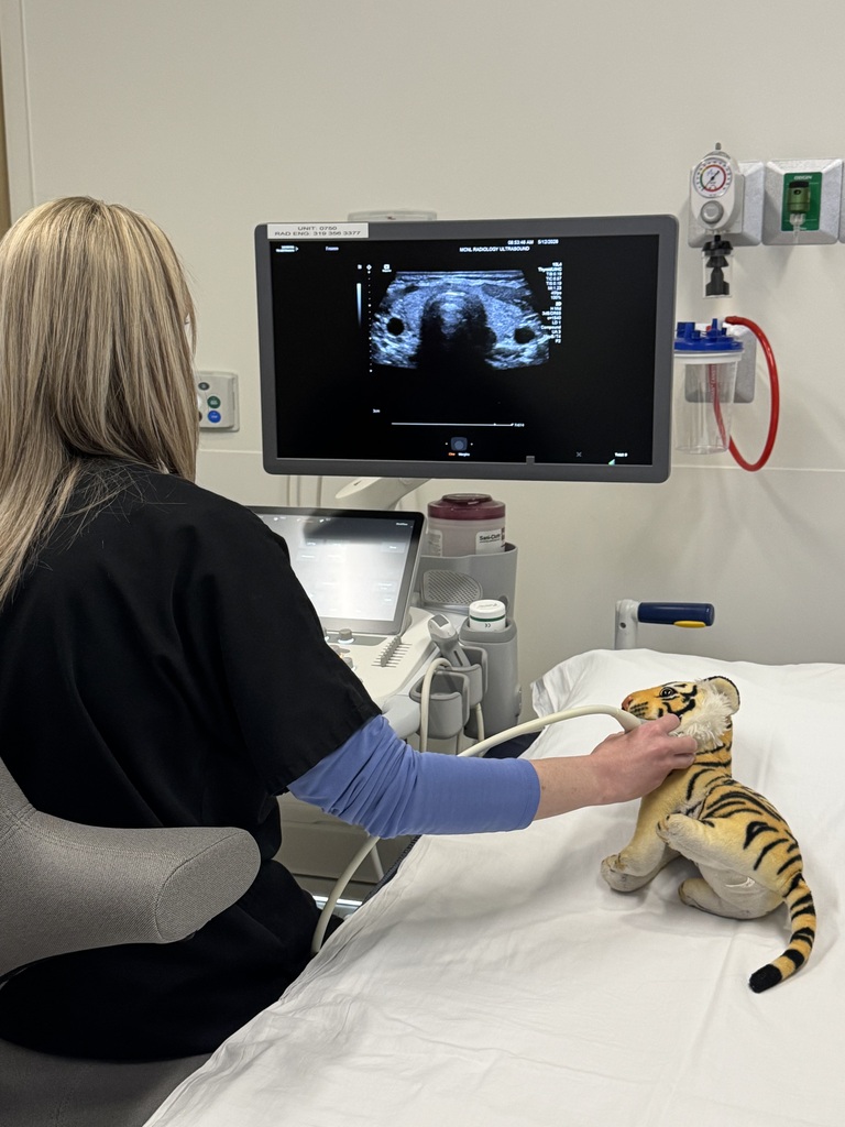 Tank getting an ultrasound