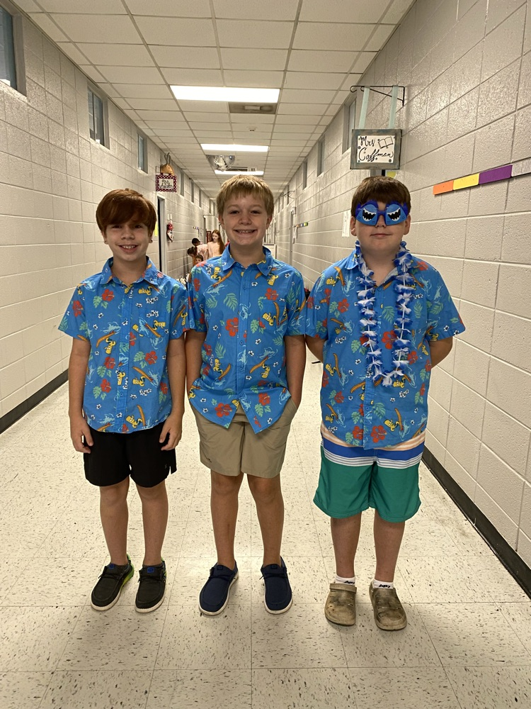 Hawaiian Day