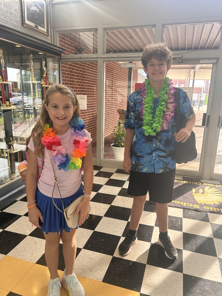 Hawaiian Day