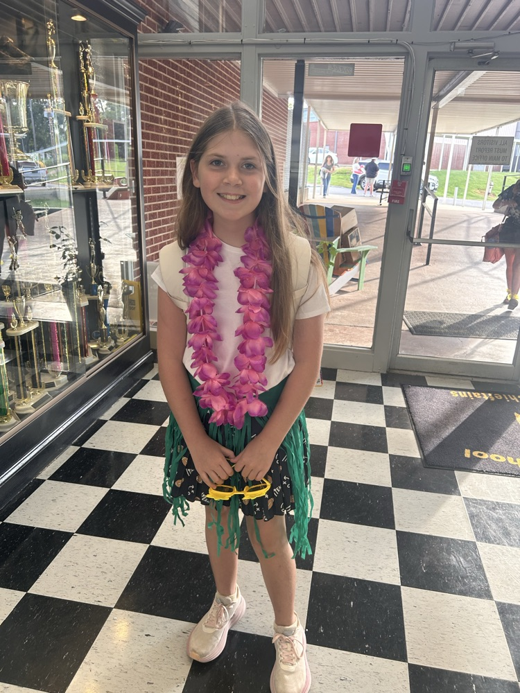 Hawaiian Day