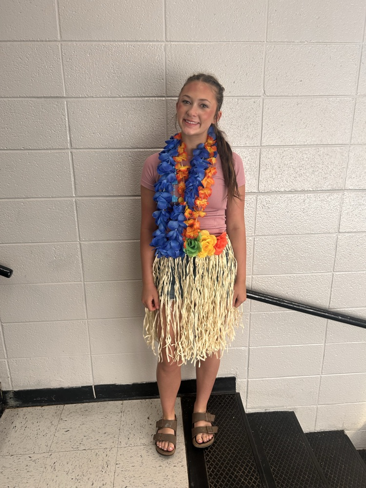 Hawaiian Day