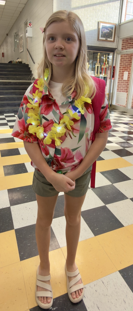 Hawaiian Day