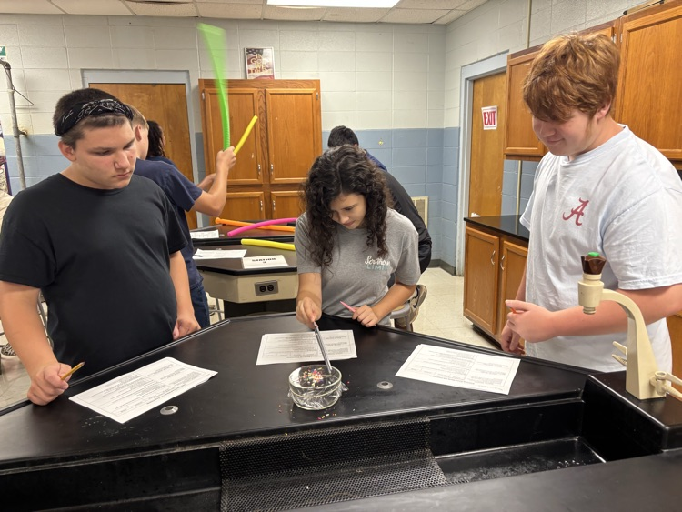 8th grade science