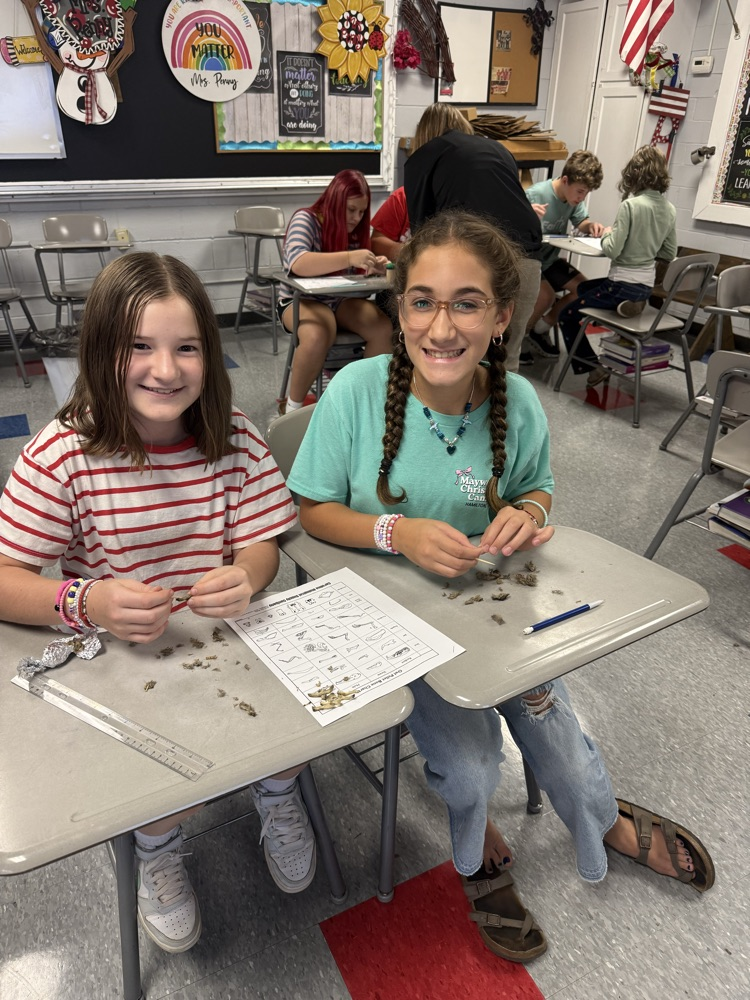 6th grade dissecting owl pellets