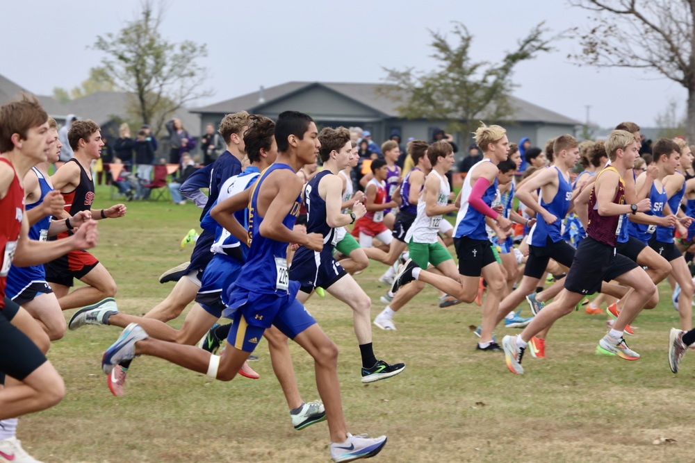 State Cross Country Meet