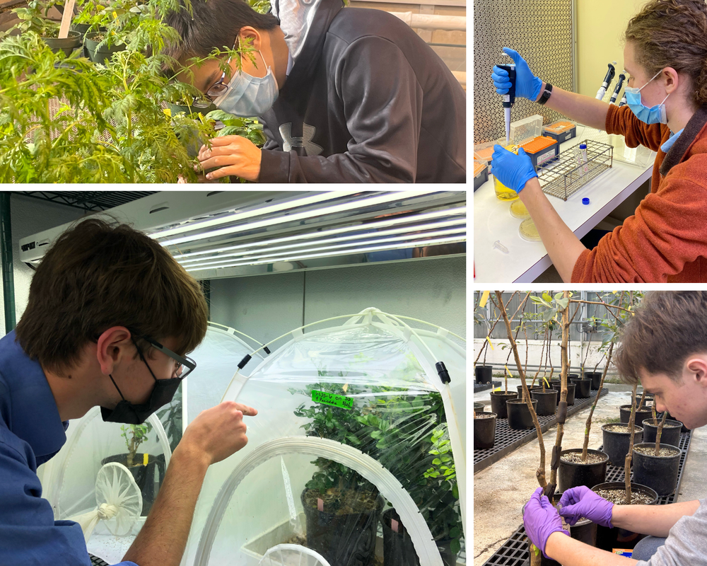 New Visions Students conducting research with Dr. Michelle Heck  in various lab settings