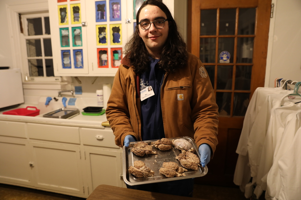a student holding up pieces of real pieces of brain 