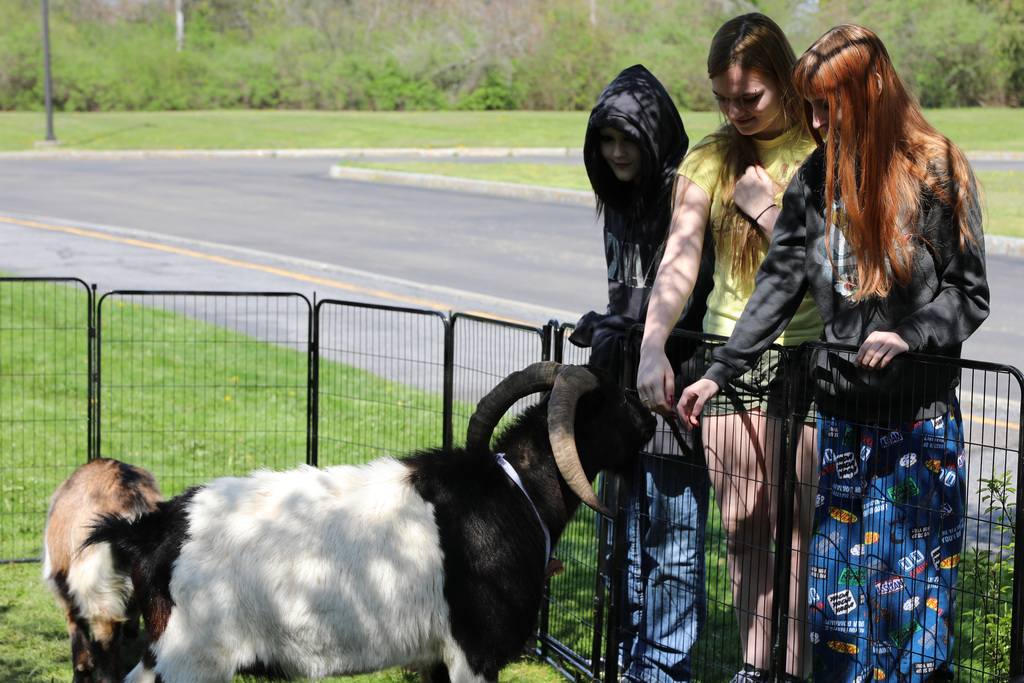 three students interacting with the goat/ram