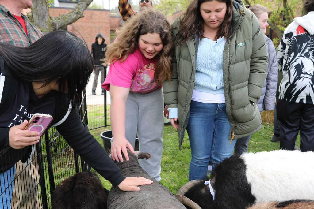 A student and staff petting a sheep