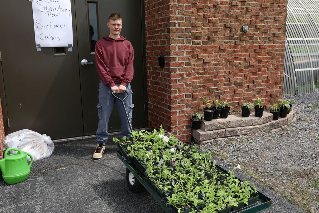 a student pulling a car full of plants