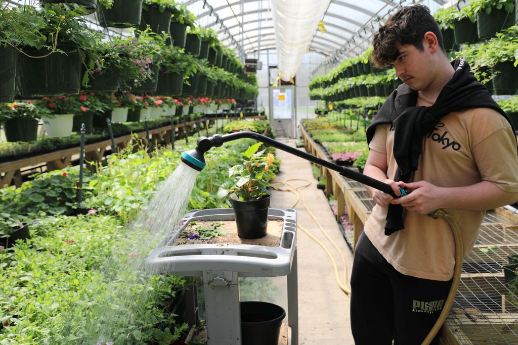 a student watering some plants